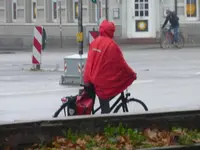 P1240176.webp