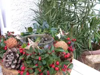 DSCN6239.webp
