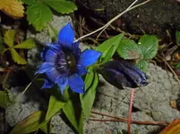 P1030245.webp