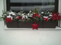 PIC00135.webp