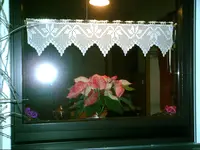 PIC00557.webp