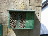 DSCN6338.webp