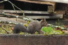 DSCF9346.webp