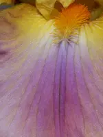 025.webp