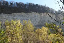 bergrutsch 2.webp