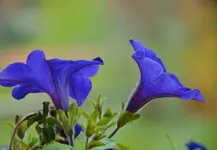 DSC_0123.webp