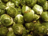 IMGP7104.webp