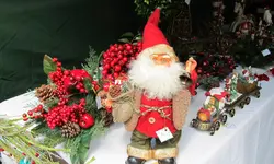IMG_7387v.webp