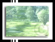 Kopfweiden im Vorbeifahren.webp