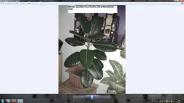 Unbenannt.webp