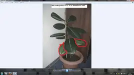Unbenannt2.webp