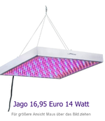 Pflanzleuchte.webp