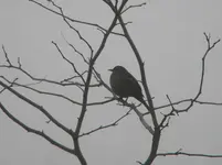 DSCN6309.webp