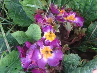 003_1024x768.webp