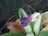 001_1024x768.webp