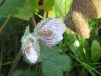 002_1024x768.webp