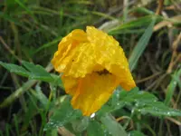 005_1024x768.webp