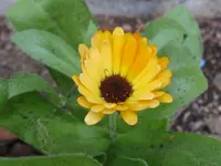 008_1024x768.webp
