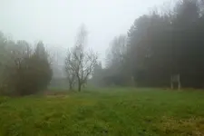 Nebelgarten von unten.webp