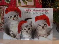 P1160820.webp P1160820.webp