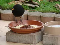 2014-12-03 Reicht das für alle.webp