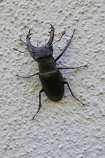 P1020200.webp