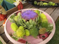 Bild 024.webp