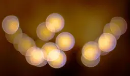 yellow (6).webp