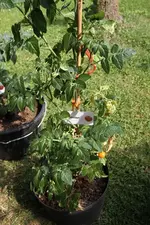 Minibel_-IMG_1617.webp