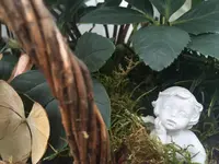 2014-12-11 09.48.36.webp