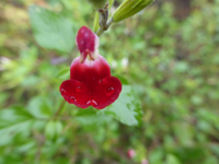 P1240361.webp