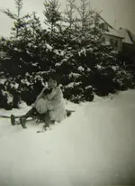 DSCN6358.webp