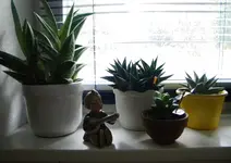 DSCN6366.webp