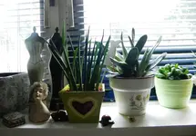 DSCN6368.webp