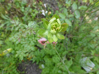 P1240341.webp