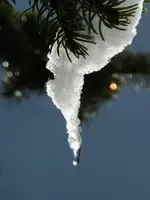 Eiszapfen_7105.webp