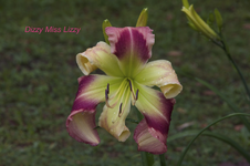 IMG_1709.webp