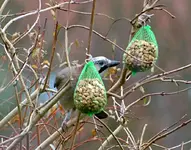 DSC_1484_ErdnuShaher.webp