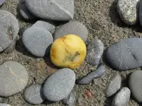 Copy of IMG_1849v.webp