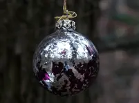 P1160791.webp