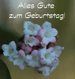 Glueckwunsch 141215.webp