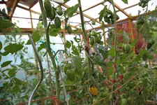 IMG_4836.webp