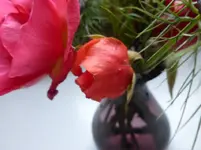 P1240440.webp