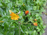 P1240300.webp