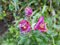 P1240301.webp