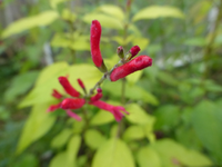 P1240320.webp
