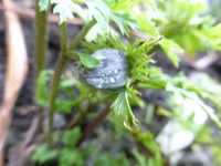 P1240336.webp