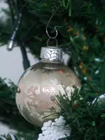 100_5563.webp