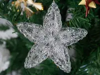 100_5478.webp