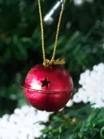 100_5579.webp